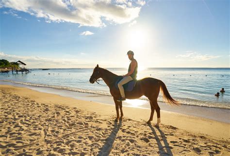 maritim equestrian centre|Horse Riding at Maritim Resort & Spa .